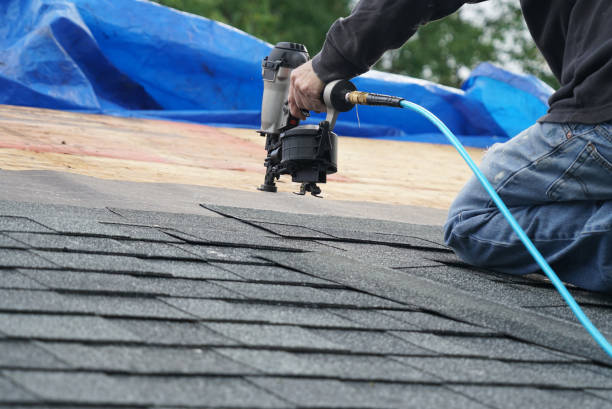 Best Storm Damage Roof Repair  in Grand Bay, AL