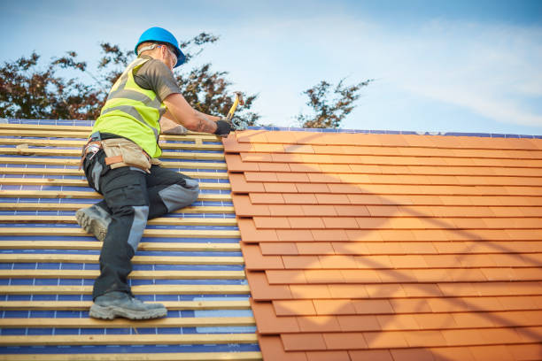Best Roof Moss and Algae Removal  in Grand Bay, AL